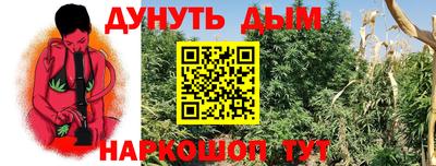 гидра Комсомольск-на-Амуре
