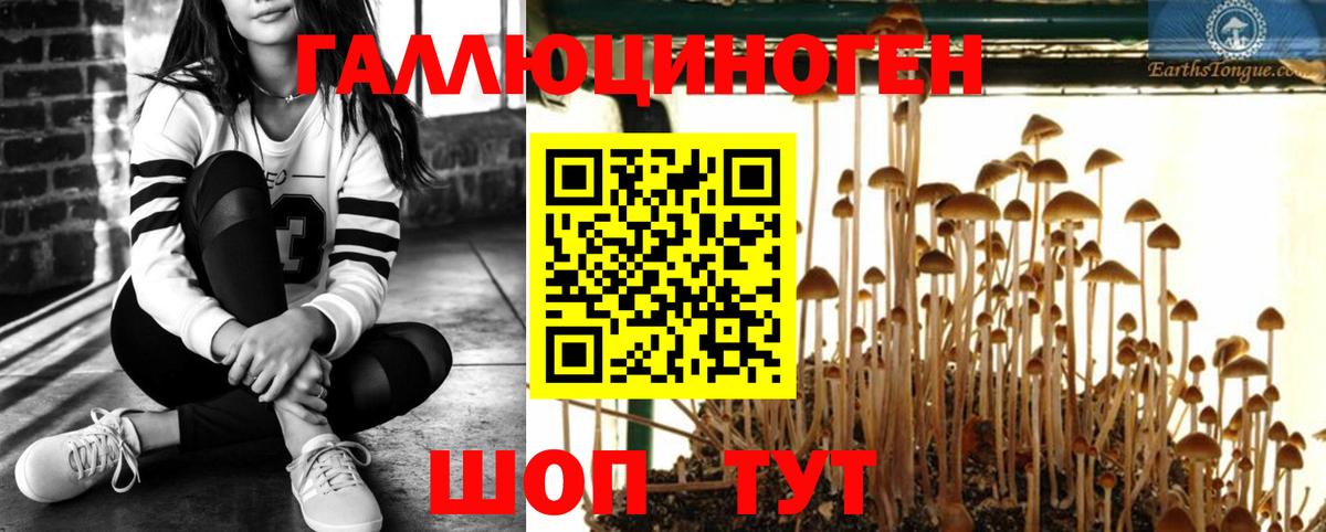 Галлюциногенные грибы прущие грибы Красный Сулин