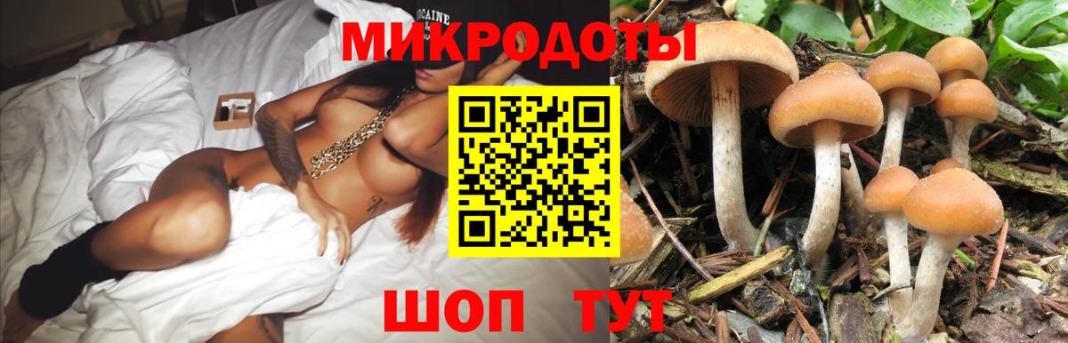 Галлюциногенные грибы прущие грибы  Галлюциногенные грибы ЛСД  Вход с VPN  Красный Сулин 